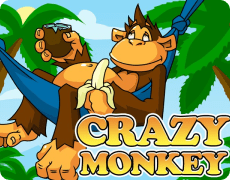 Crazy Monket Pin-Up Games